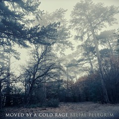 Moved By A Cold Rage
