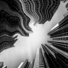 Anima Polis - from FLUID MECHANICS