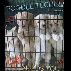 POODLE_TECHNO