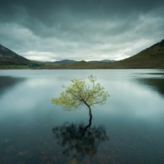 2021/01 Essential Melodic Sessions (Mixes)