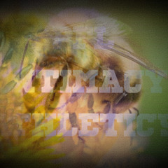 pretending not to understand