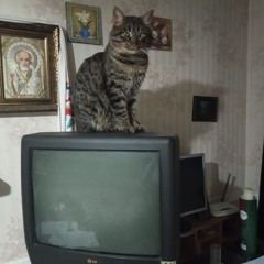 проста Пизда