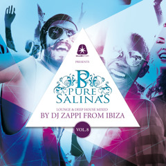 Sunbelt Regret (Mollono.Bass Remix)