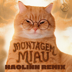 MONTAGEM MIAU X Same Old Problem ( HaoLinn Remix )