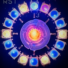 DIRTY LITTLE RAVER - MOATRAX