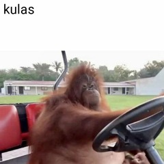 KARMA DMS - ANABOL THC JEŹDZI NA MOTORYNCE