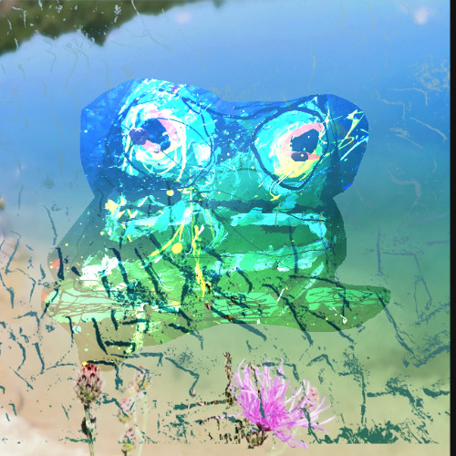 Andrew Age --frogfold of "where-is-my-place^2"