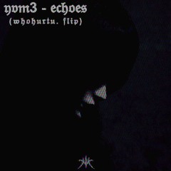 yvm3 - echoes (𝔴𝔥𝔬𝔥𝔲𝔯𝔱𝔲. Flip)