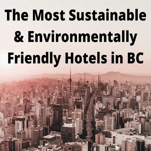 The Most Eco Friendly And Sustainable Hotel In Fernie, BC