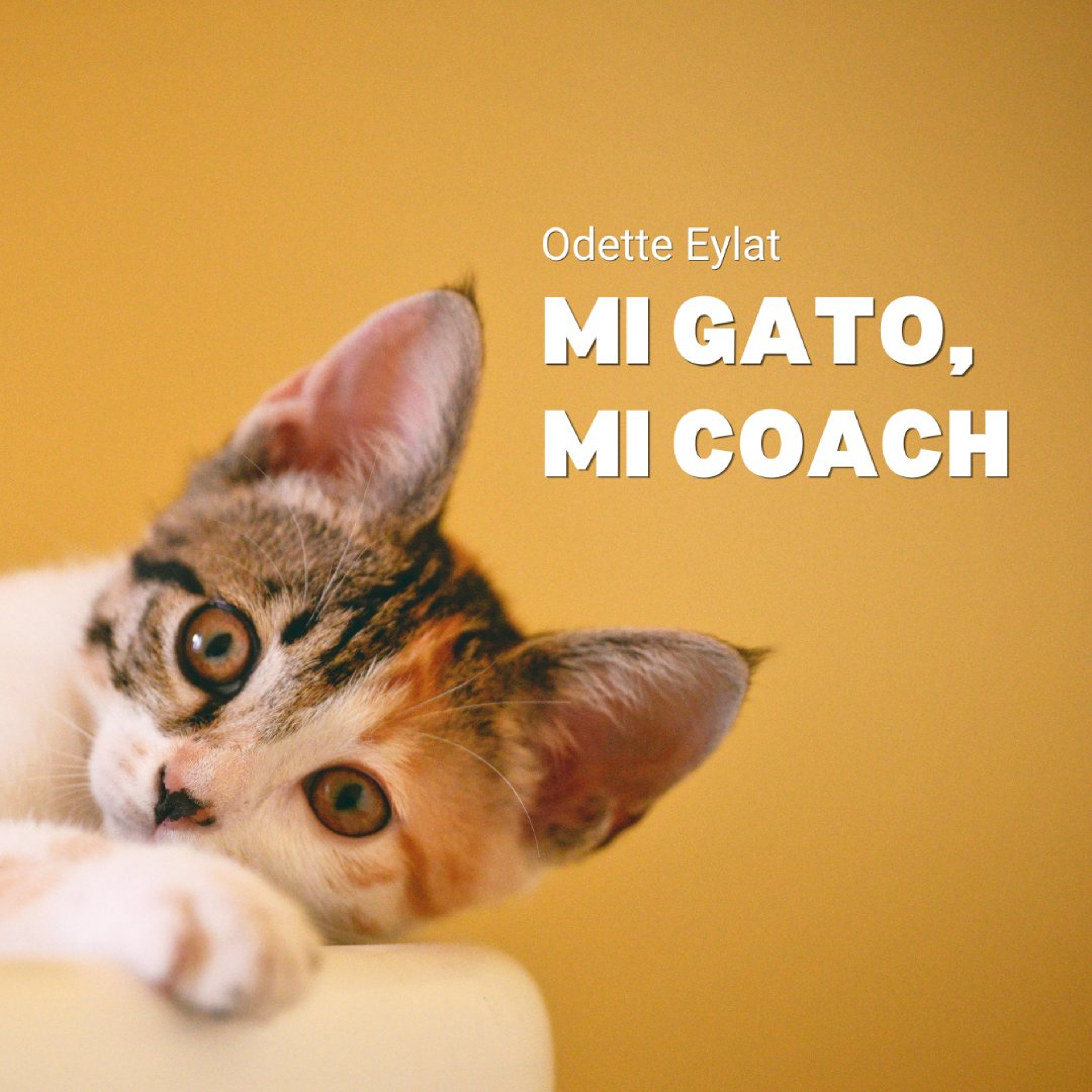 [#Podcast] Mi gato, mi coach - My cat, my coach episode artwork