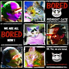 Midnight Cats - Bored