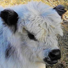 (((o(*ﾟ▽ﾟ*)o)))♡