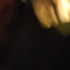 Modulator Orcreshta Proccesor..