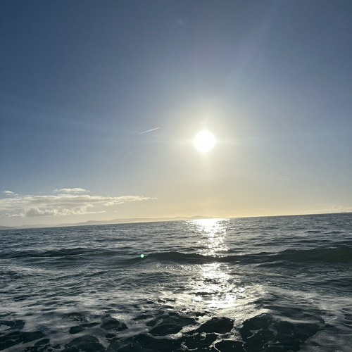 Ship Out To Sea