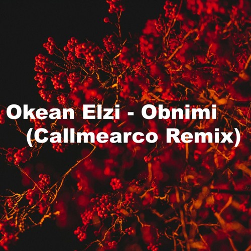 Okean Elzi  -  Obnimi (Callmearco Remix)