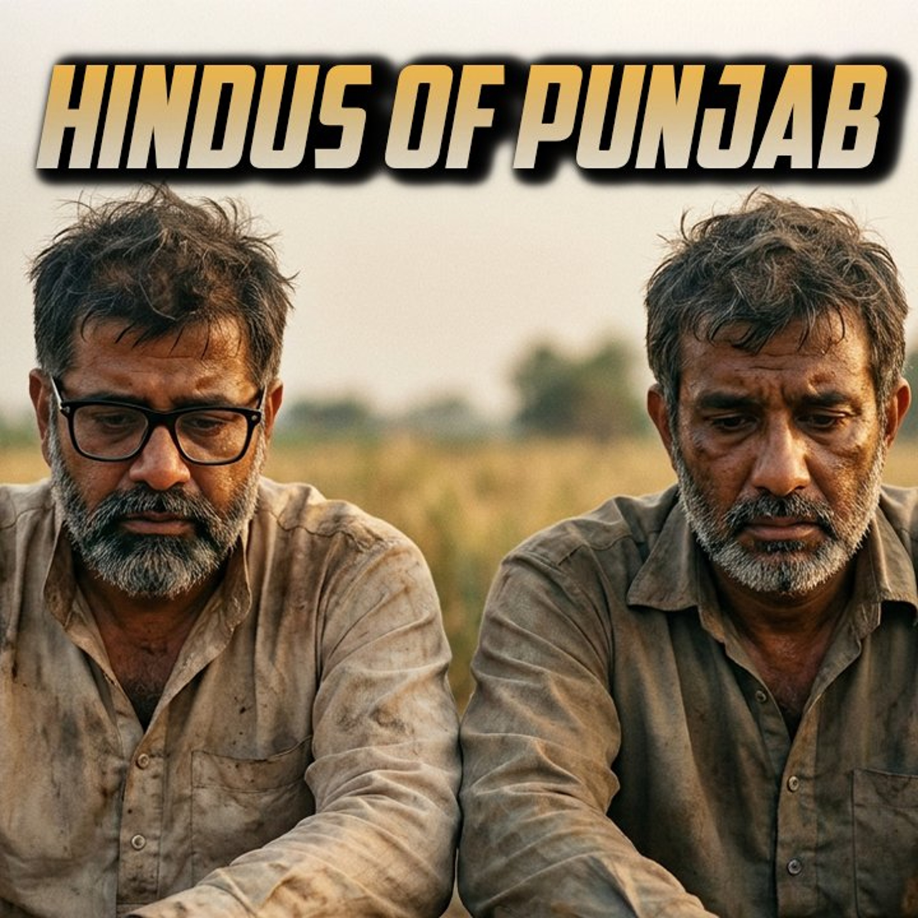 Khalistanis And The Hindus Of Punjab