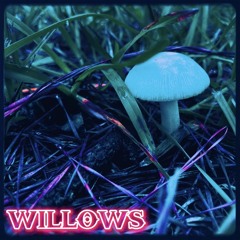 WILLOWS