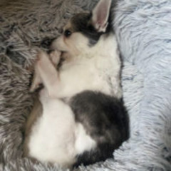 tired of seein my face [sped up]