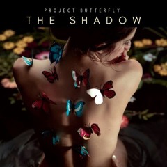 ' The Shadow ' ( Extended Mix  )