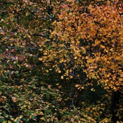 Amélie Chassary / soundtrack musique originale de Léo de Kerdrel