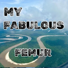 MY FABULOUS FEMUR- IT'S A JUNGLE OUT THERE!! Blog Post 40 Audio