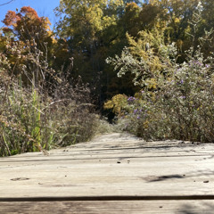 fields (prod. michael harrison & heyrick & daks)