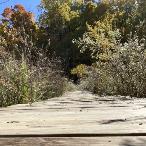 fields (prod. michael harrison & heyrick & daks)