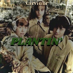 HP - PLANTIN’