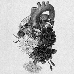 • ألفُ عُنوان و مَعنى •