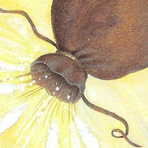 If Words Could Cut Through (prod. michael harrison)