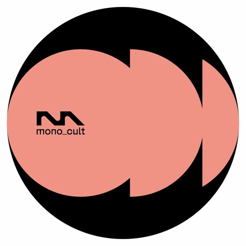 PREMIERE: Ray Mono - Syndicate (Sota Remix) [mono_cult]