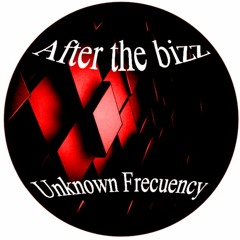 After The Bizz (Original Mix)