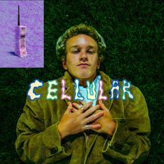 CELLULAR