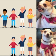Racist Dog