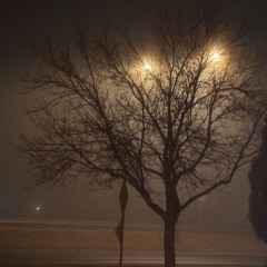 LOVEISANEEDLE (feat.Dilly G) prod.CRCL