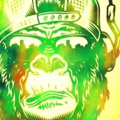 THE PLAYEST MUTHASUCKA "Funky Monkey Man"
