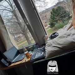 DresdnerFensterbretter