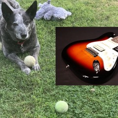 Gonna Make Music on Rainbow Bridge v. Rock - On 5.22.25 I had to put Dallie down.
