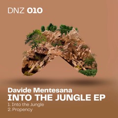 Into the Jungle (Original Mix)