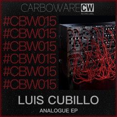 Luis Cubillo - Analogue