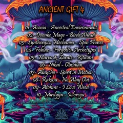 03- Synthergica Mechanics - Spin Phases