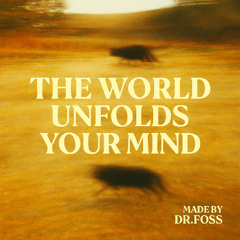The world unfolds your mind