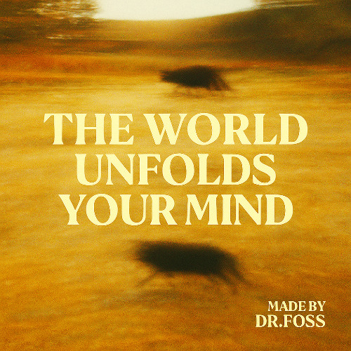 The world unfolds your mind