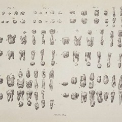 Teeth (demo)