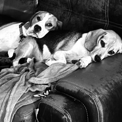 Home for Christmas 2025 - Pedro Costa & Sabino B2B Session