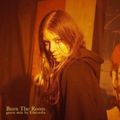 Burn The Roots: guest mix by Gheordu