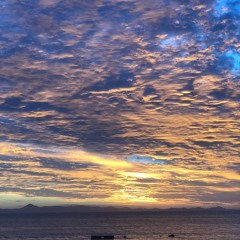 Flower Shirt Boy Band