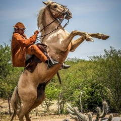 Tarcísio do Acordeon - Meu cavalo é um estouro