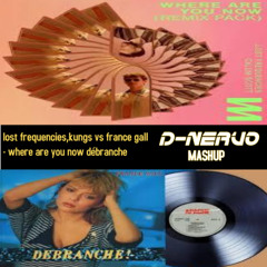 lost frequencies,kungs vs france gall - where are you now débranche (reverse for copyright)