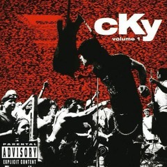 Disengage The Simulator (CKY Cover)